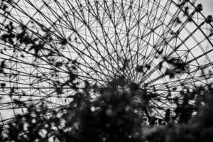 写真作品