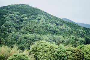 写真作品