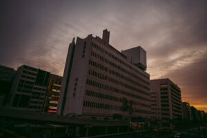 写真作品