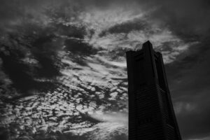 写真作品