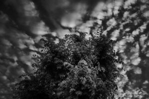 写真作品