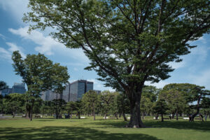 写真作品