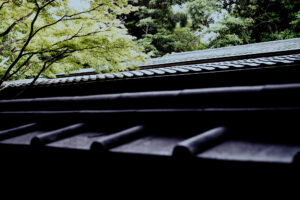 写真作品
