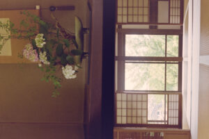 写真作品