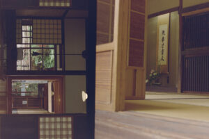 写真作品