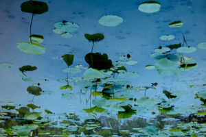 写真作品