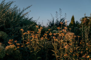 写真作品