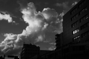 写真作品