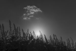 写真作品