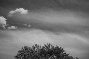 写真作品