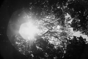 写真作品