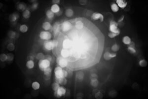 写真作品
