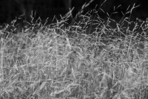 写真作品