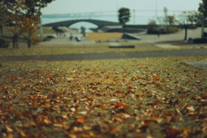 写真作品