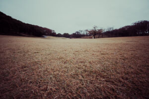 写真作品