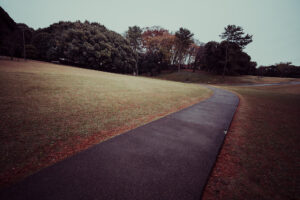 写真作品