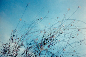 写真作品