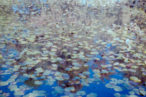 写真作品