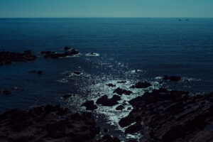 写真作品