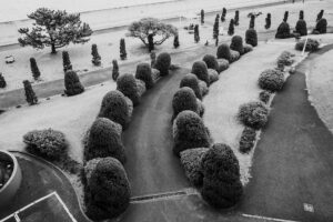 写真作品