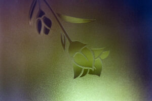 写真作品