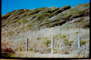 写真作品