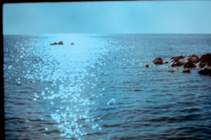 写真作品