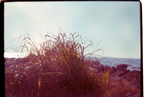 写真作品