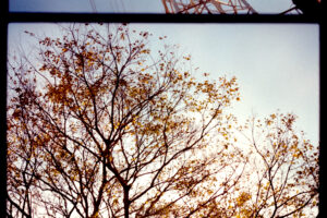 写真作品