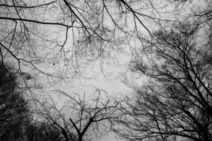 写真作品