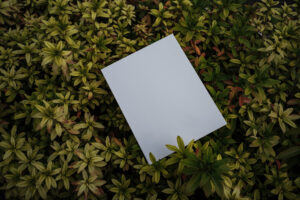 写真作品
