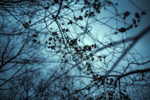写真作品