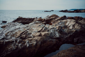 写真作品