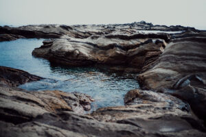 写真作品