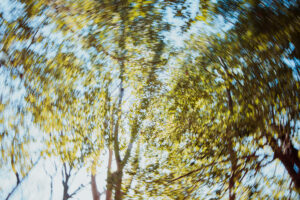 写真作品
