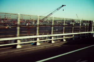 写真作品