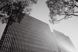 写真作品
