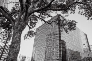 写真作品