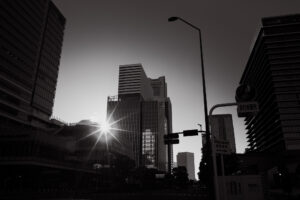 写真作品