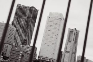 写真作品