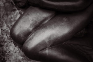 写真作品