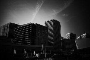 写真作品