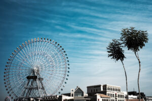 写真作品