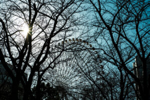 写真作品