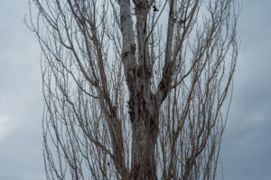 写真作品