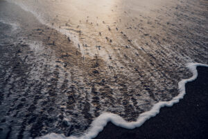 写真作品