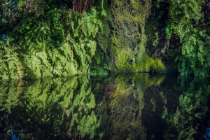 写真作品