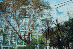 写真作品
