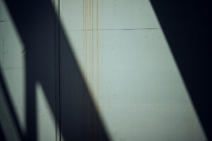 写真作品