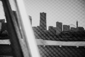 写真作品